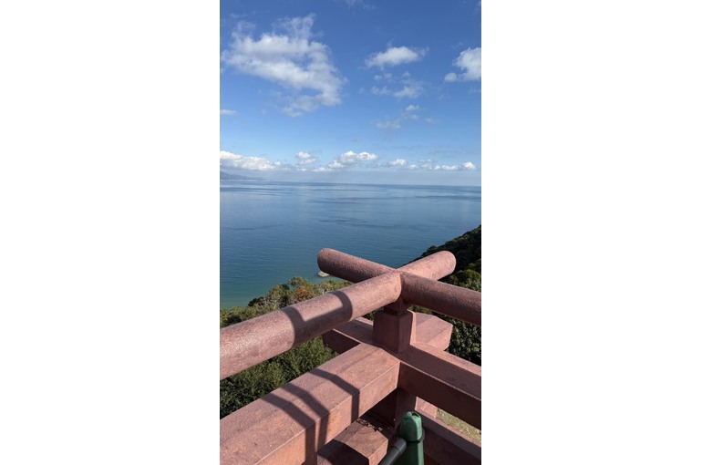S__318693379